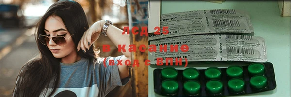 индика Алзамай