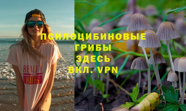 индика Алзамай