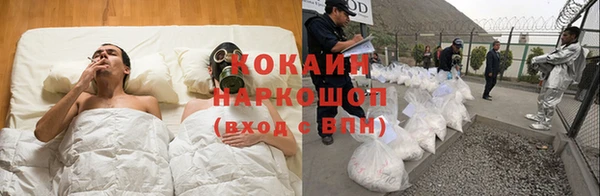 кокс Алексин