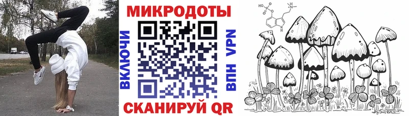Галлюциногенные грибы Psilocybe  Нижнеудинск 