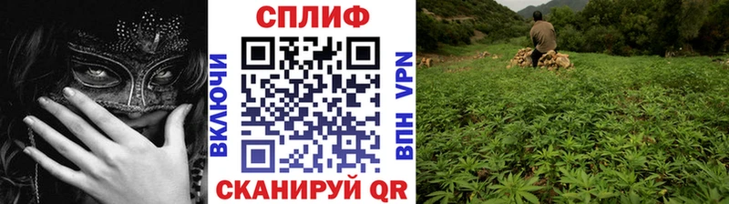 Бошки Шишки Amnesia Нижнеудинск